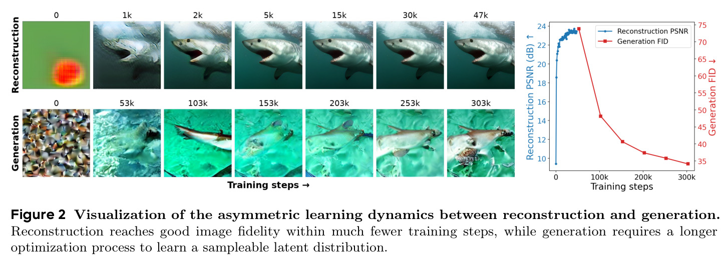 Visualization of the asymmetric learning dynamics between reconstruction and generation