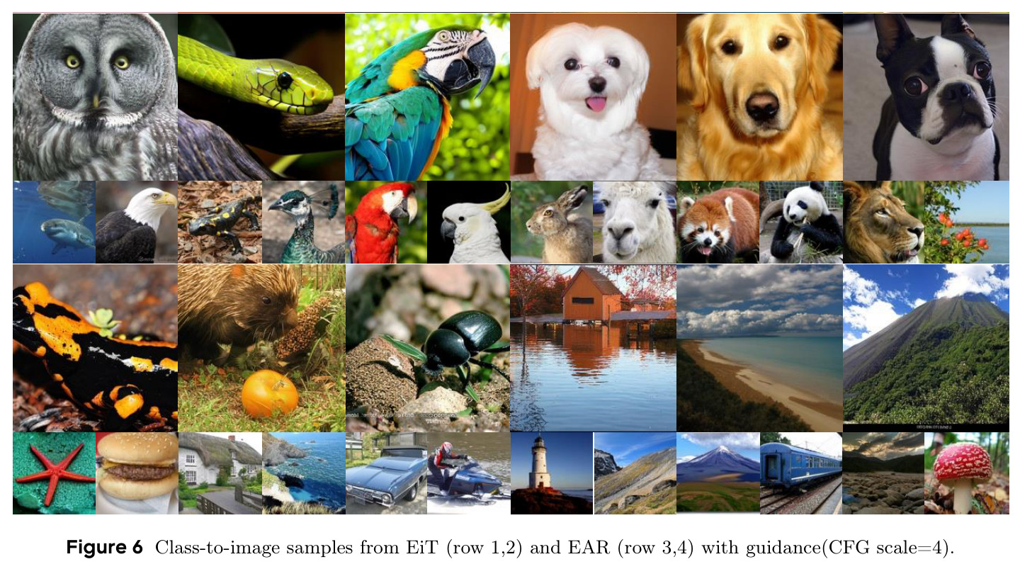 Class-to-image samples from EiT (row 1,2) and EAR (row 3,4) with guidance (CFG scale=4)