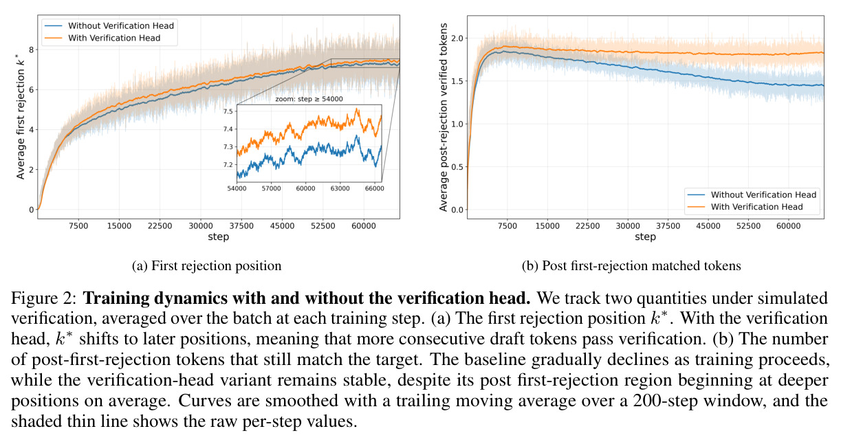 Training dynamics with and without the verification head