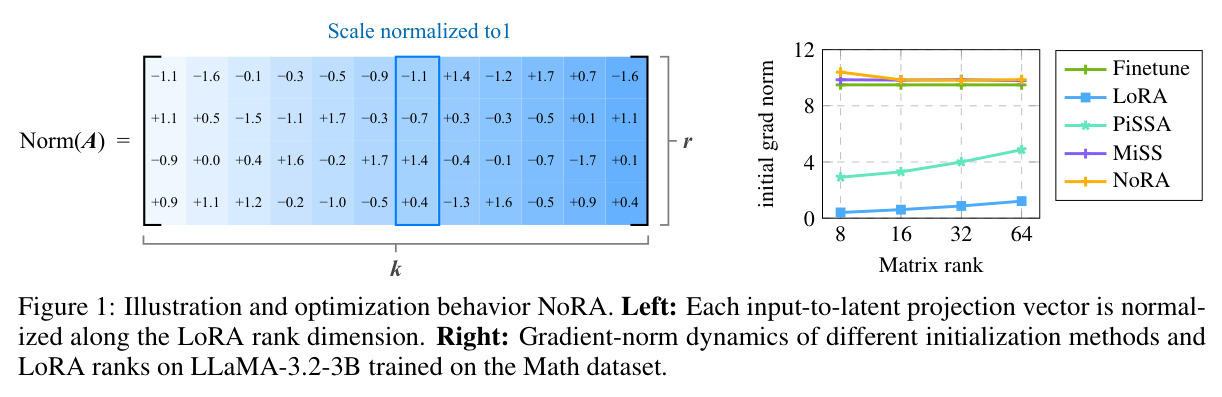Illustration and optimization behavior of NoRA.