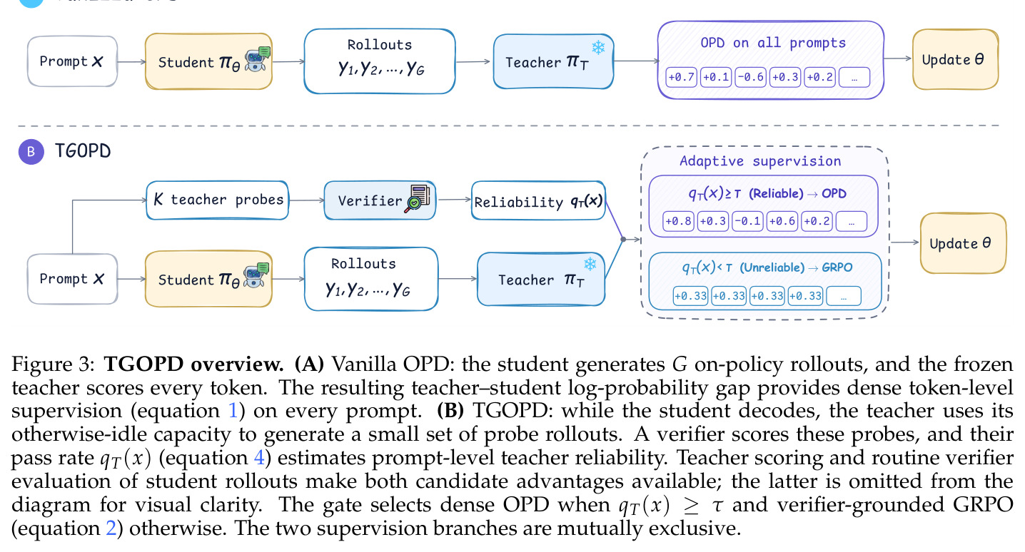 TGOPD overview