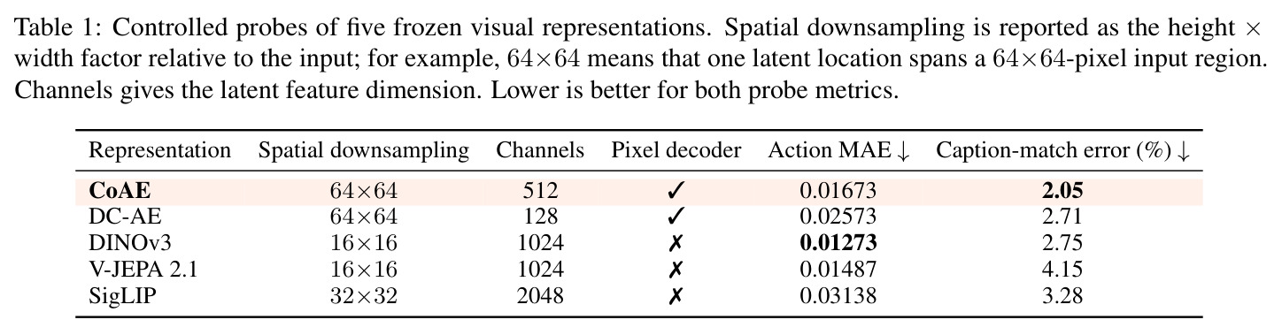 Controlled probes of five frozen visual representations.