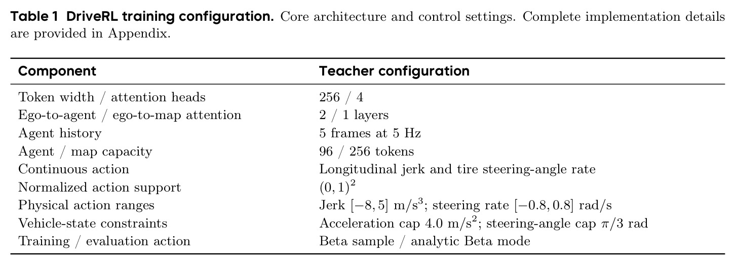 DriveRL training configuration.