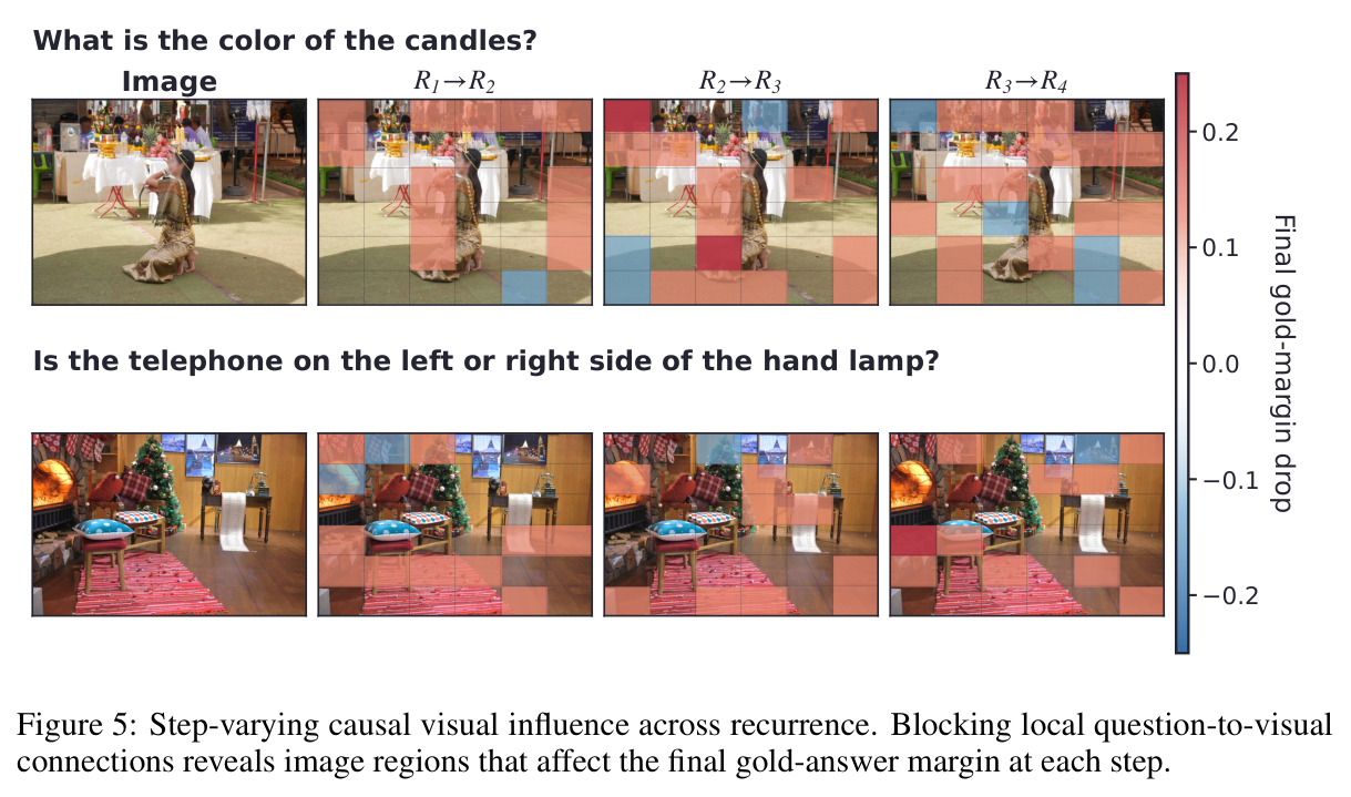 Step-varying causal visual influence across recurrence.