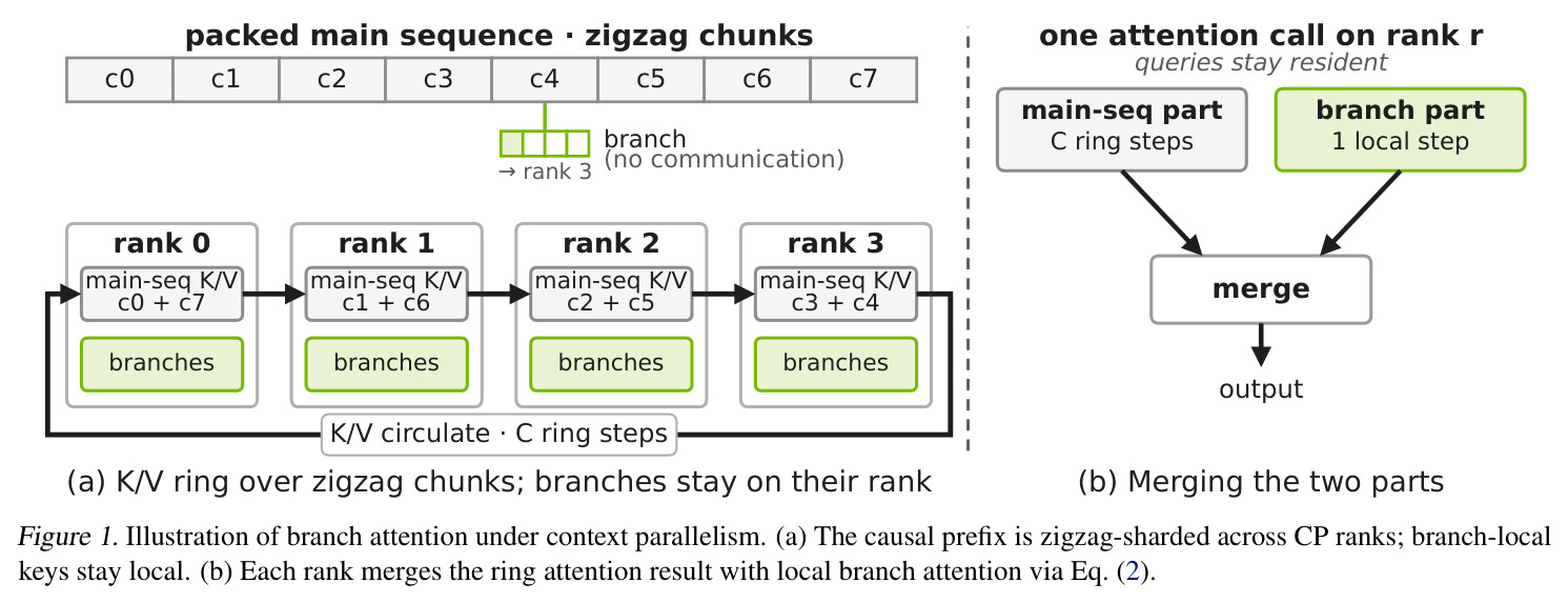 Illustration of branch attention under context parallelism. (a) The causal prefix is zigzag-sharded across CP ranks; branch-local keys stay local. (b) Each rank merges the ring attention result with local branch attention via Eq. (2).