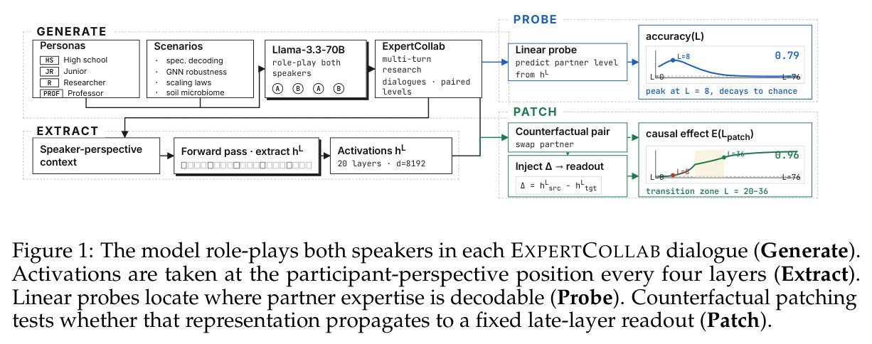 The model role-plays both speakers in each EXPERTCOLLAB dialogue (Generate). Activations are taken at the participant-perspective position every four layers (Extract). Linear probes locate where partner expertise is decodable (Probe). Counterfactual patching tests whether that representation propagates to a fixed late-layer readout (Patch).
