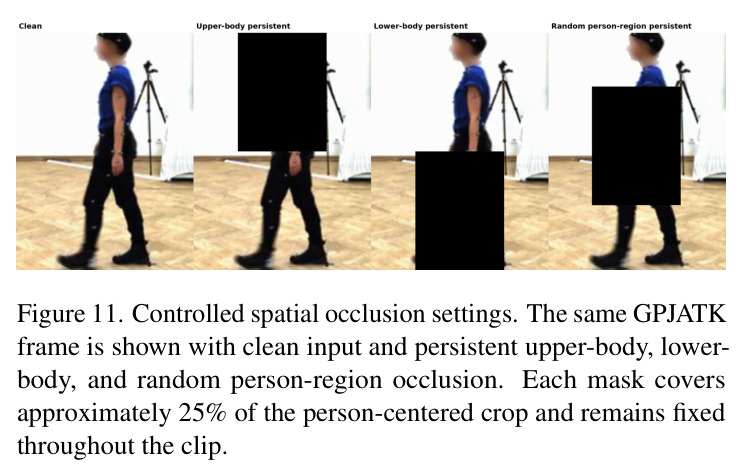 Controlled spatial occlusion settings.