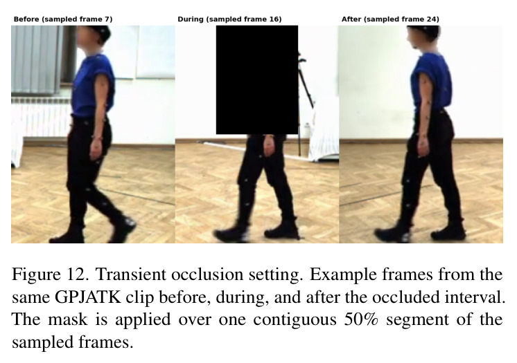 Transient occlusion setting.