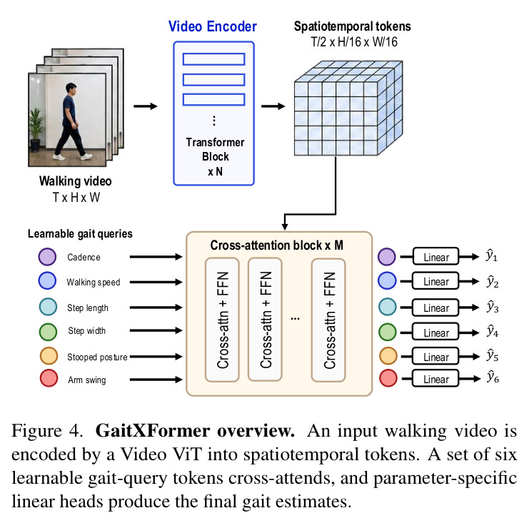 GaitXFormer overview.