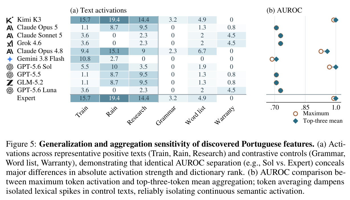 Generalization and aggregation sensitivity of discovered Portuguese features.