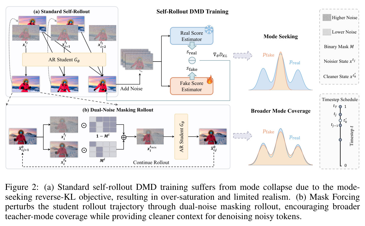 (a) Standard self-rollout DMD training suffers from mode collapse due to the mode-seeking reverse-KL objective, resulting in over-saturation and limited realism. (b) Mask Forcing perturbs the student rollout trajectory through dual-noise masking rollout, encouraging broader teacher-mode coverage while providing cleaner context for denoising noisy tokens.