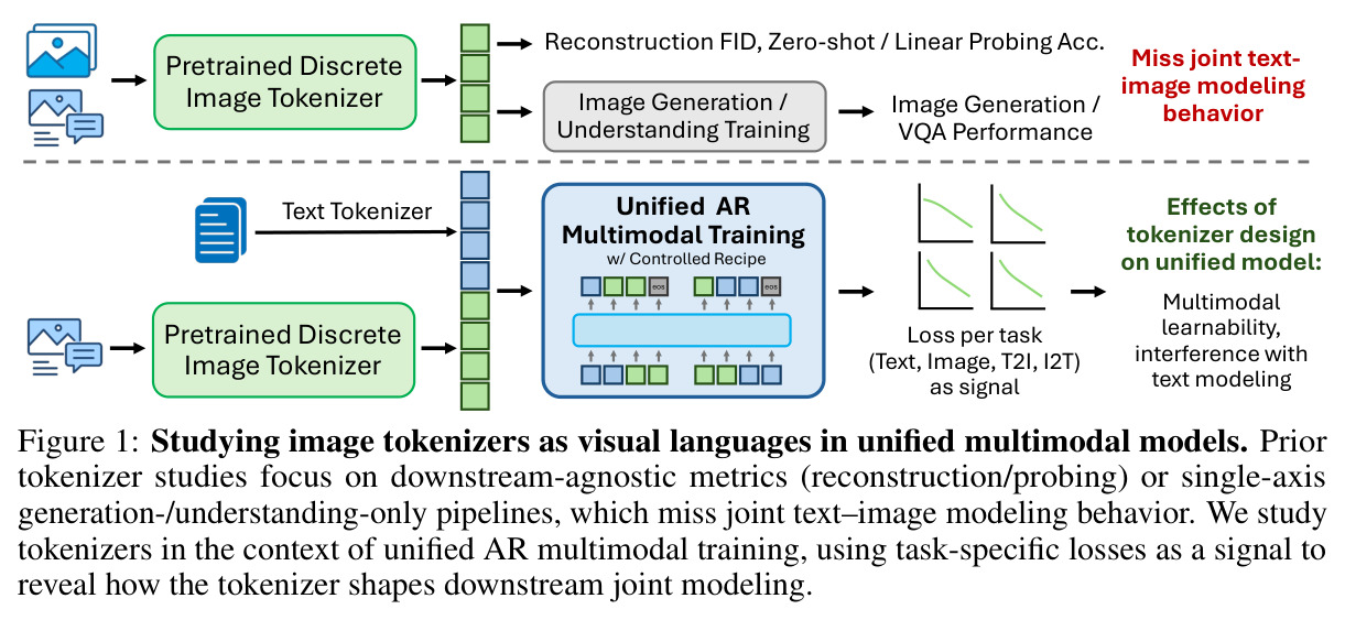 Studying image tokenizers as visual languages in unified multimodal models.