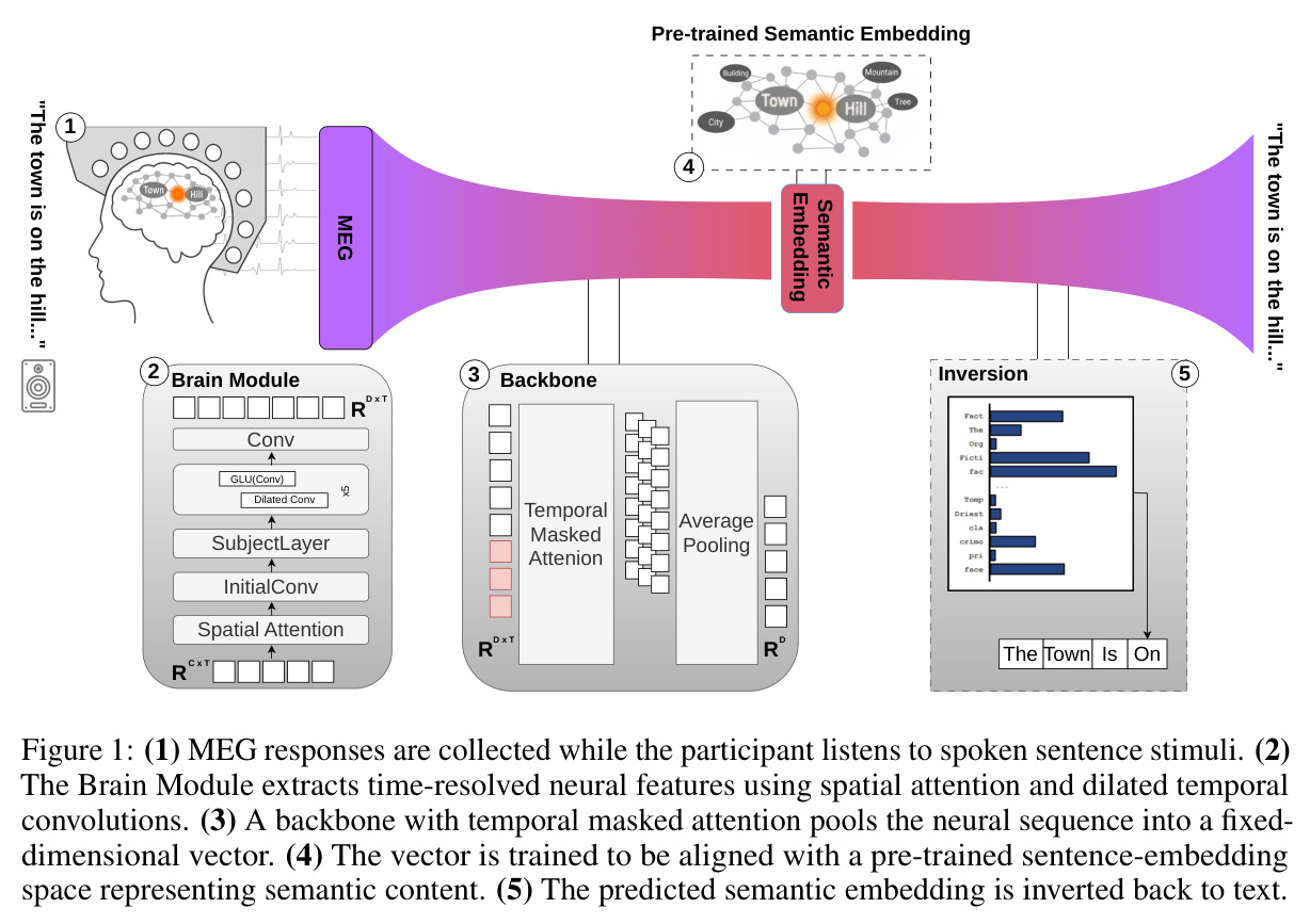 Brain2Semantics2Text 流水线：MEG 响应采集 → Brain Module 特征提取 → Backbone 时间池化 → 语义嵌入对齐 → 嵌入反演回文本