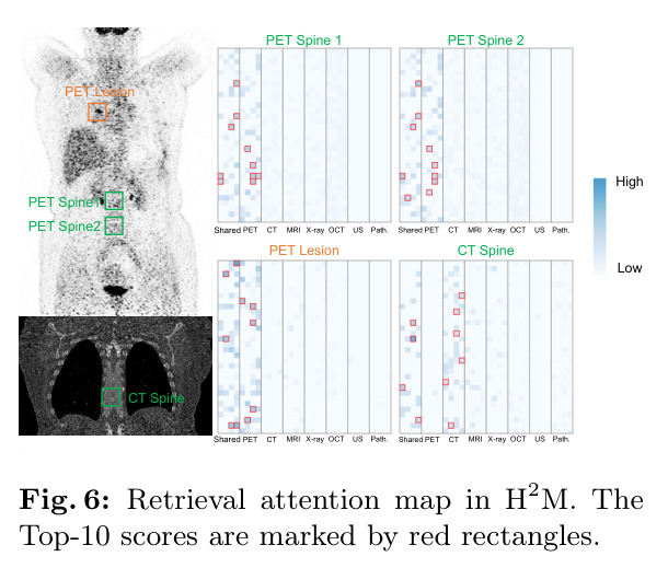 Retrieval attention map in H2M. The Top-10 scores are marked by red rectangles.