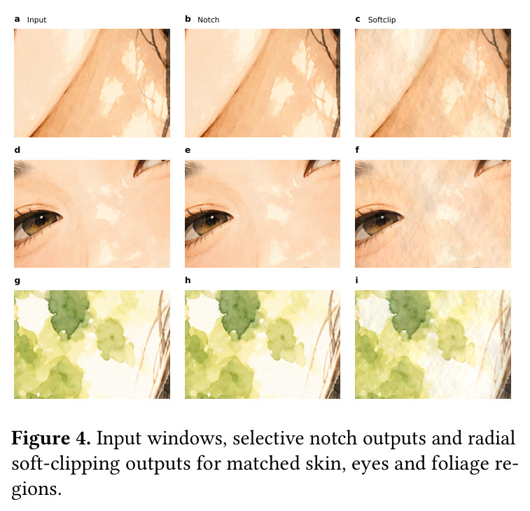Input windows, selective notch outputs and radial soft-clipping outputs for matched skin, eyes and foliage regions.