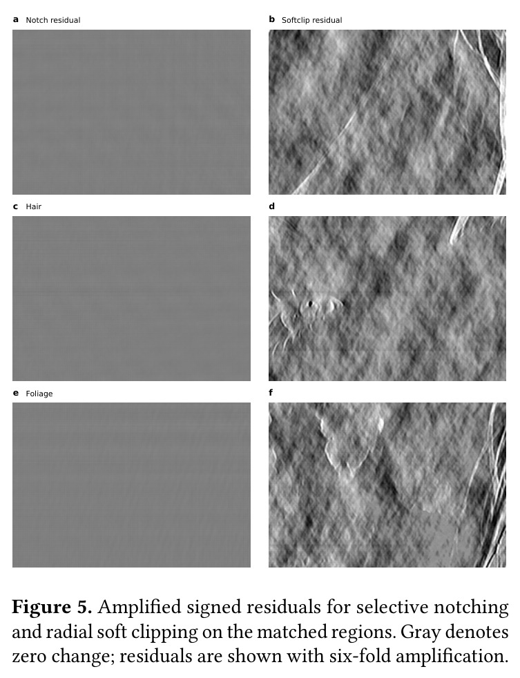 Amplified signed residuals for selective notching and radial soft clipping on the matched regions. Gray denotes zero change; residuals are shown with six-fold amplification.